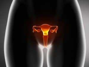 endometrial-ablation-300x225